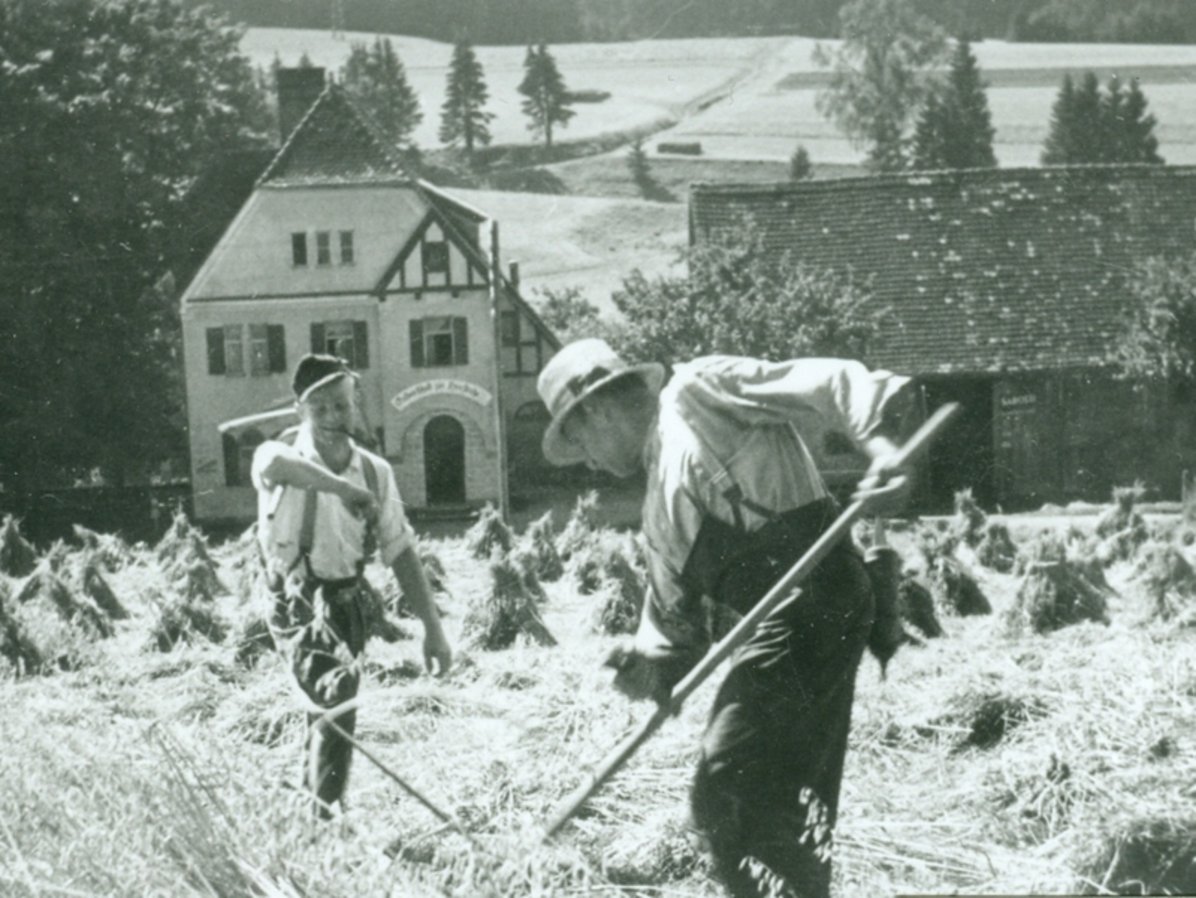 Herpfenried um 1954 Herpfenried um 1954