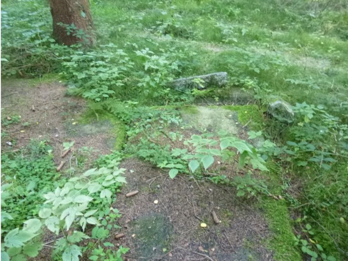 Fundament im Wald Fundament im Wald